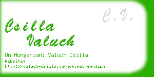 csilla valuch business card